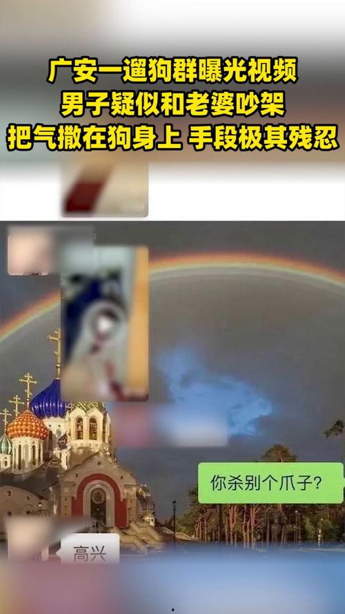 夫妇吵架爆料视频大全集,揭秘家庭矛盾背后的真实故事  第3张
